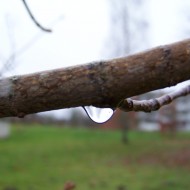 Mākoņi peļķē, putni…rudens