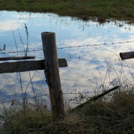 Mākoņi peļķē, putni…rudens