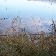 Mākoņi peļķē, putni…rudens