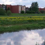 Pārāk daudz ūdens iekš Madlienas dārziņiem