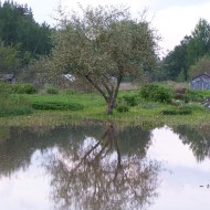 Pārāk daudz ūdens iekš Madlienas dārziņiem