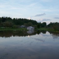 Pārāk daudz ūdens iekš Madlienas dārziņiem