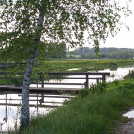 Pārāk daudz ūdens iekš Madlienas dārziņiem