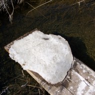 Pavasaris (2012)