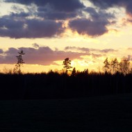 Pavasaris (2012)