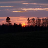 Pavasaris (2012)