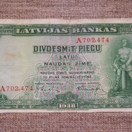 Pastaiga pa Plāteres muzeju