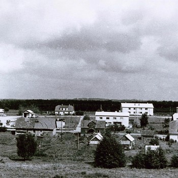 Madliena senāk III