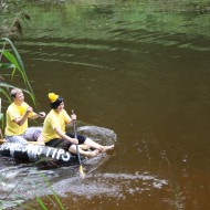 Mazliet no Foresta kausa 2014