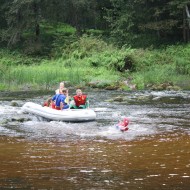 Mazliet no Foresta kausa 2014