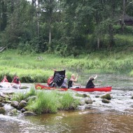 Mazliet no Foresta kausa 2014