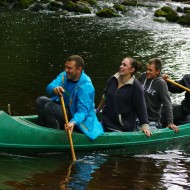 Mazliet no Foresta kausa 2014