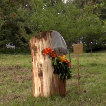 Madlienas diena 2014 (3.daļa)