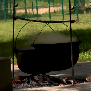 Madlienas diena 2014 (2.daļa)