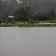 Mazliet ūdens …