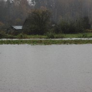 Mazliet ūdens …