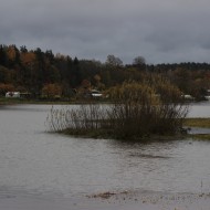 Mazliet ūdens …