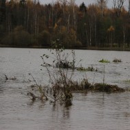 Mazliet ūdens …