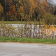 Mazliet ūdens …