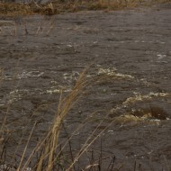 Mazliet ūdens …