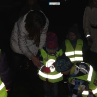 Gaismas skrējiens 2014