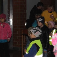 Gaismas skrējiens 2014
