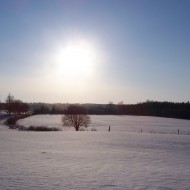 Baltais