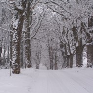 Baltais