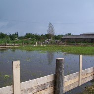 Top hokeja laukums