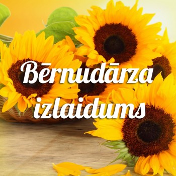 Bērnudārza izlaidums, grupiņa “Saulespuķe”