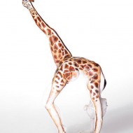Body Art