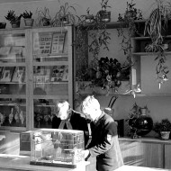 Laika pieturas-Madliena 1978