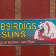 Drusku smaidam