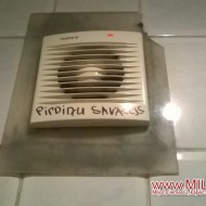 Drusku smaidam
