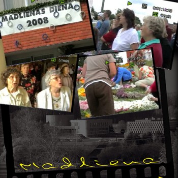 Madlienas diena 2008