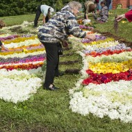 Madlienas diena (3)