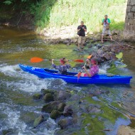 FORESTA KAUSS 2015- 1