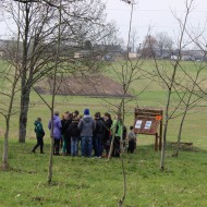 Meža un pļavas dienas 2016