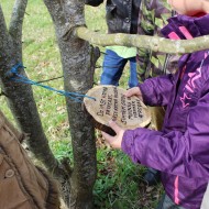 Meža un pļavas dienas 2016