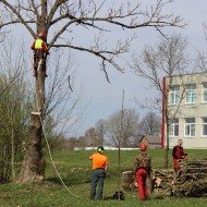 Meža un pļavas dienas 2016