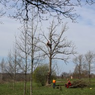 Meža un pļavas dienas 2016