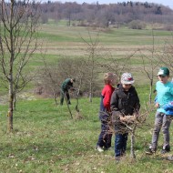 Meža un pļavas dienas 2016