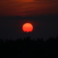 26. jūnija vakara saule
