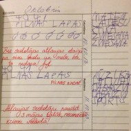Piezīmes…