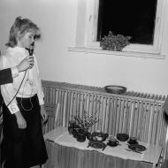 Miss Madlienas vidusskola 1989