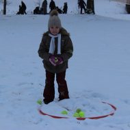 Sniega diena Madlienas vidusskolā