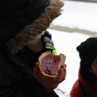 Sniega diena Madlienas vidusskolā