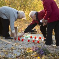 Latvijas Tautas frontei-30 svin Madlienā