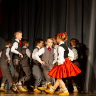 “Es – Latvija” valsts svētku koncerts Madlienas vidusskolā